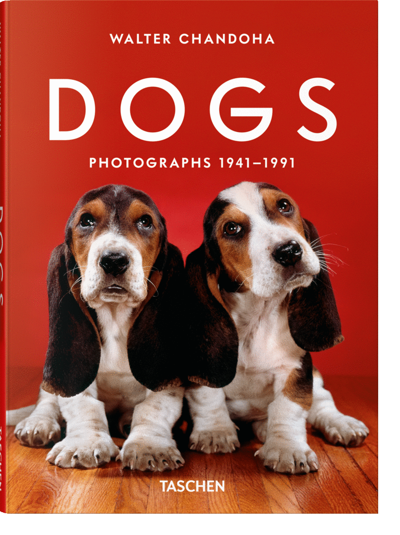 WALTER CHANDOHA. DOGS. PHOTOGRAPHS 1941–1991