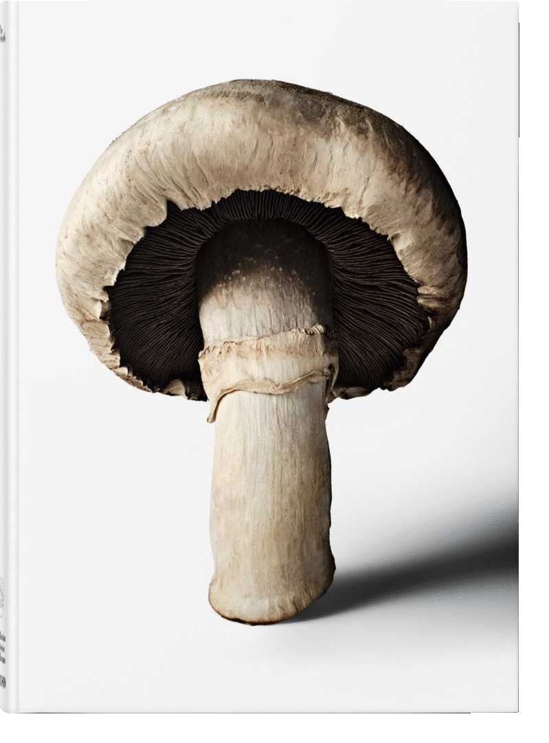 GOURMAND'S MUSHROOM. A COLLECTION OF STORIES & RECIPES