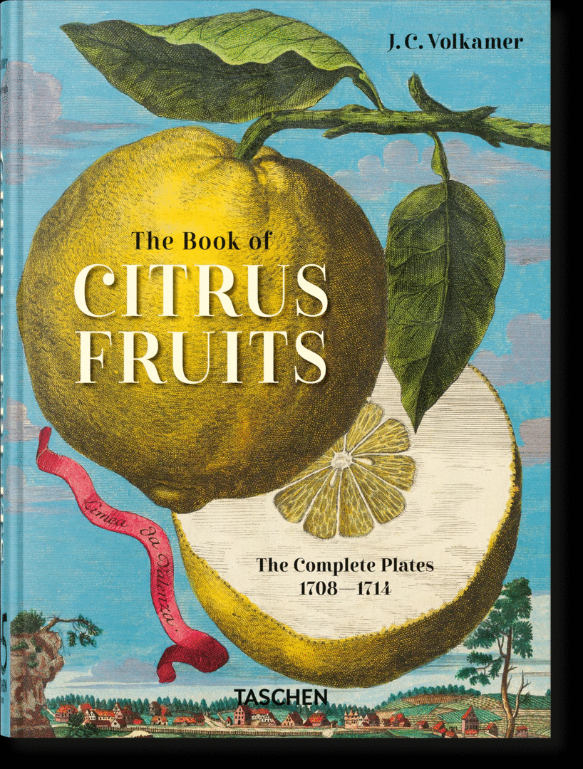 J. C. VOLKAMER. THE BOOK OF CITRUS FRUITS. 45TH ED. (ALE, FRA, ING)