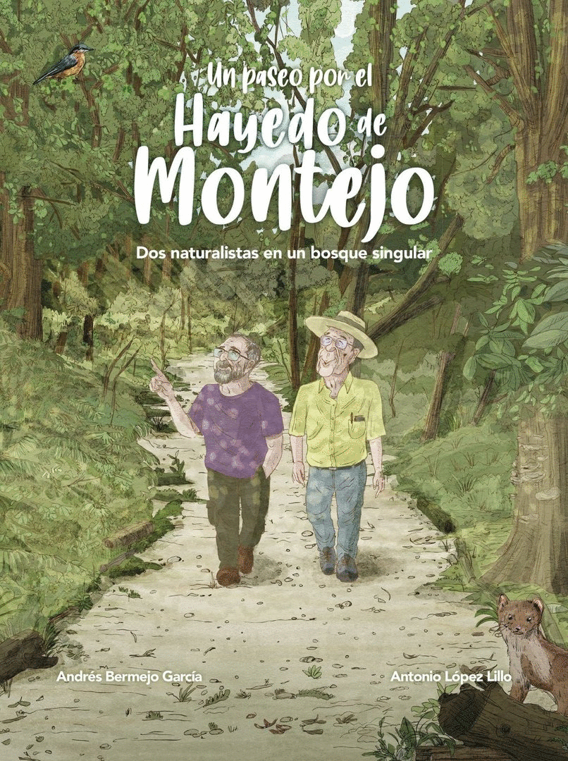 PASEO POR EL HAYEDO DE MONTEJO, UN