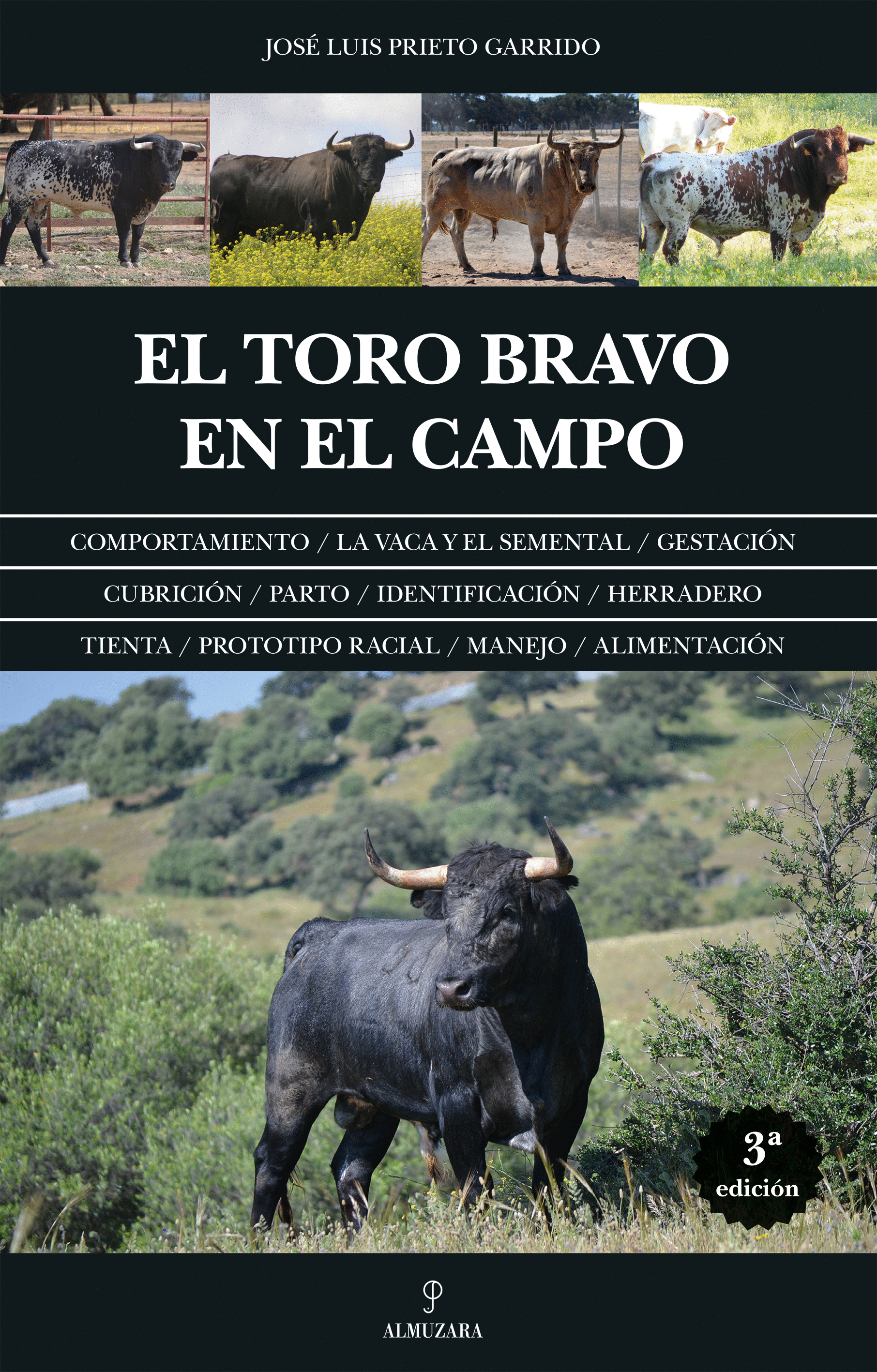 TORO BRAVO EN EL CAMPO