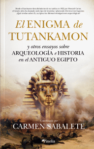 ENIGMA DE TUTANKAMON Y OTROS ENSAYOS SOBRE ARQUEOLOGIA...