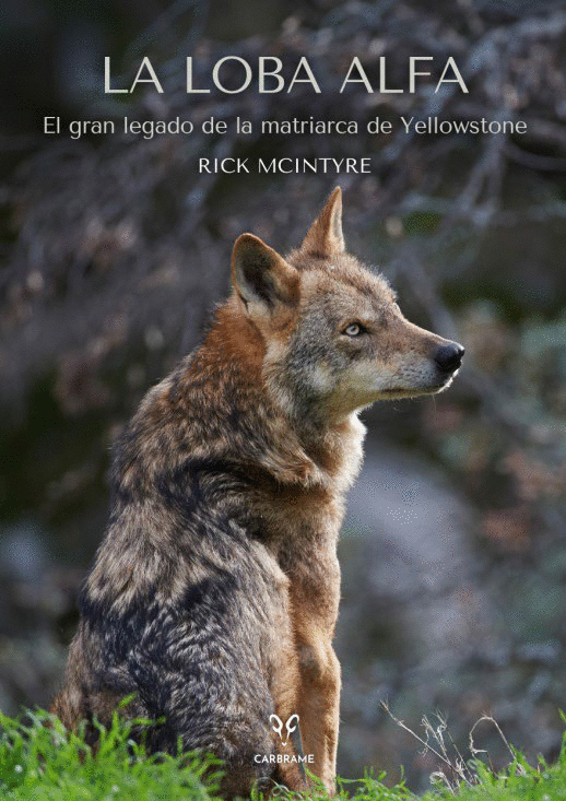 LOBA ALFA, LA