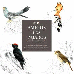 MIS AMIGOS LOS PÁJAROS