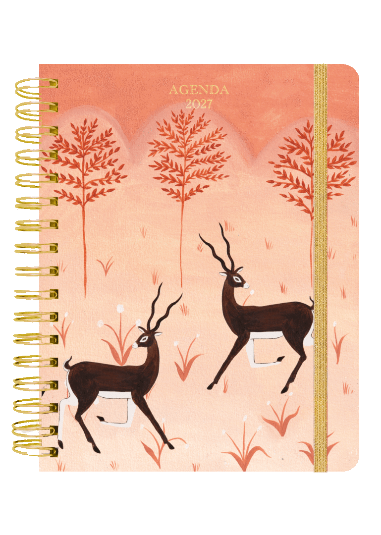AGENDA ANUAL SEMANAL 2027 - BRIANDA