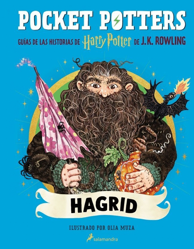POCKET POTTERS 6. HAGRID
