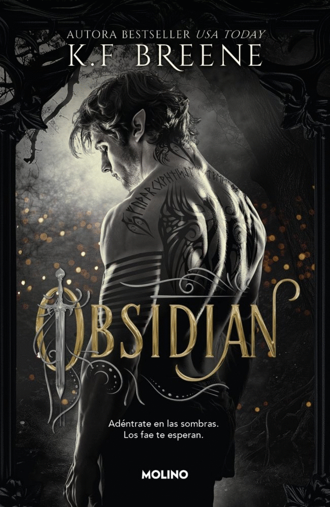 OBSIDIAN (LOS FAE DE LAS SOMBRAS 1)