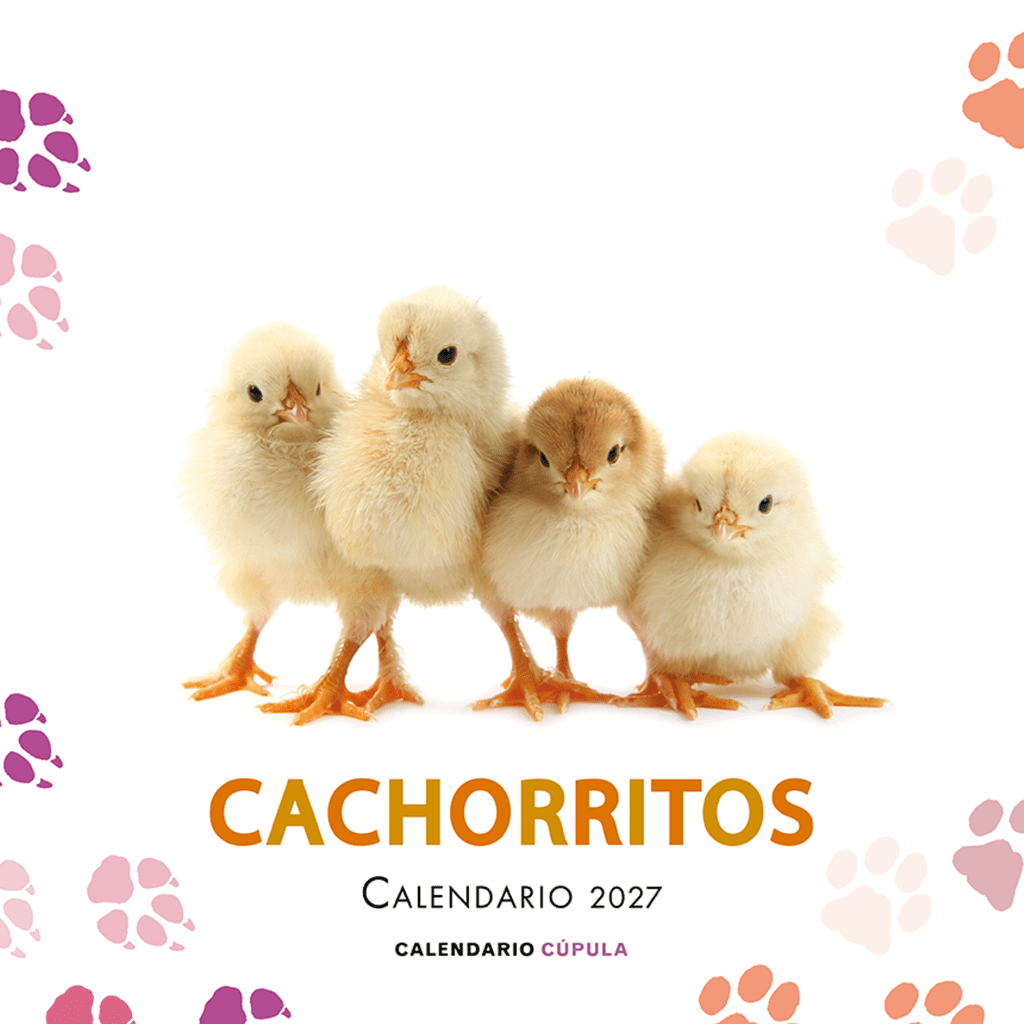 CALENDARIO CACHORRITOS 2027