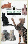 RAZAS DE GATOS (IDENTIFICANDO)