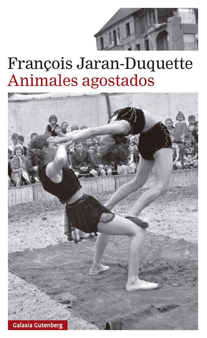 ANIMALES AGOSTADOS